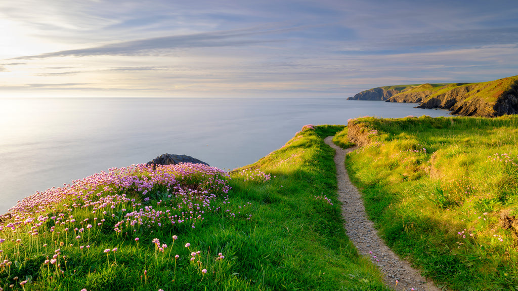 A beautiful coastal path at sunset